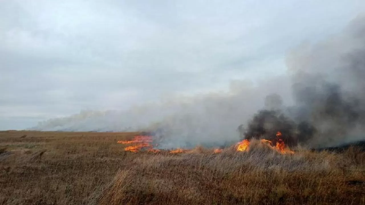 Іле-Балқаш резерватындағы табиғи өрт сөндірілді