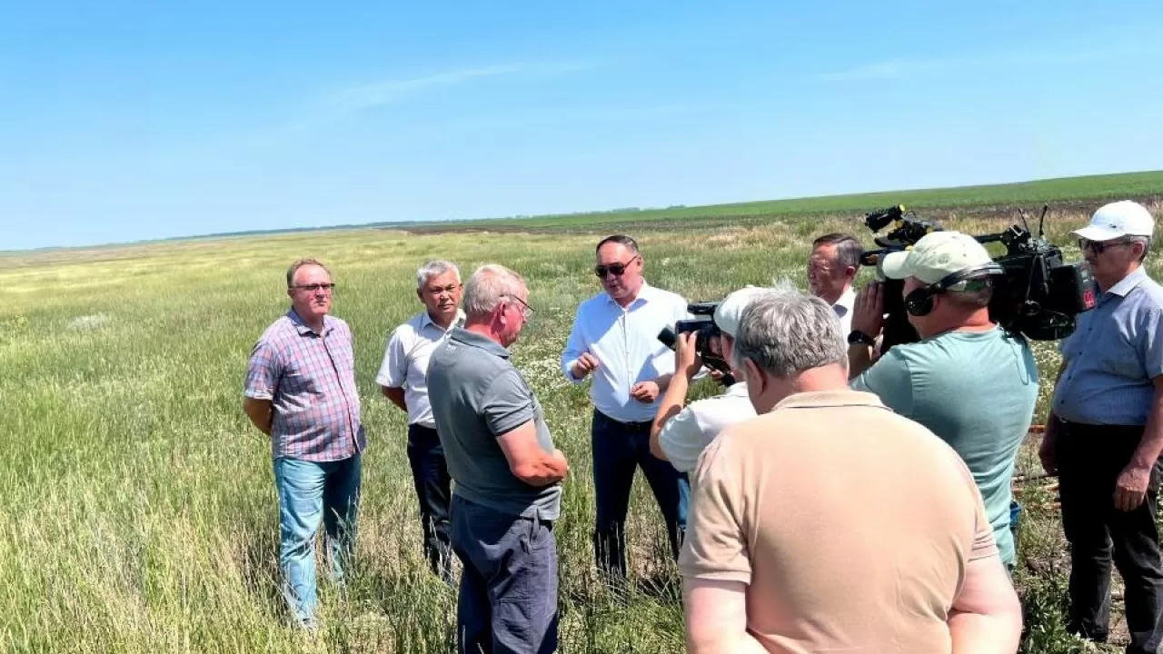 Ербол Қарашөкеев шегіртке зиянкестерінің таралуы тіркелген Қостанай облысына келді