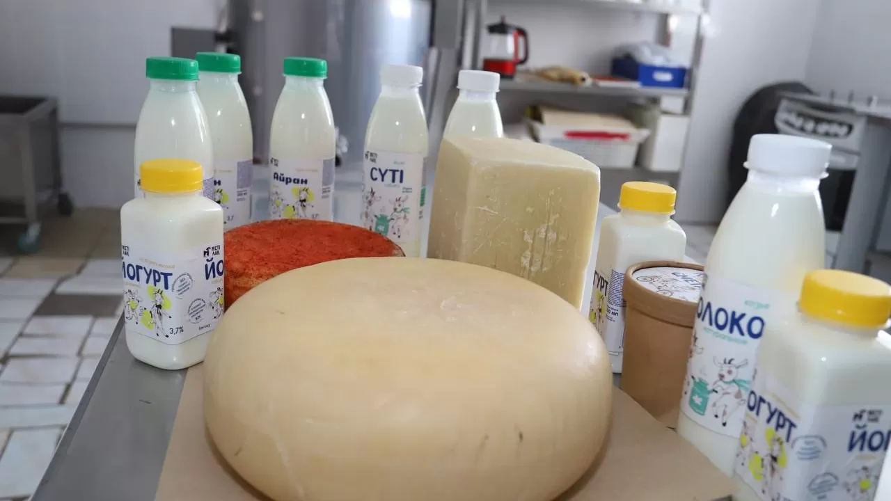 Предприниматели из Мангистау впервые примут участие в международном конкурсе сыров