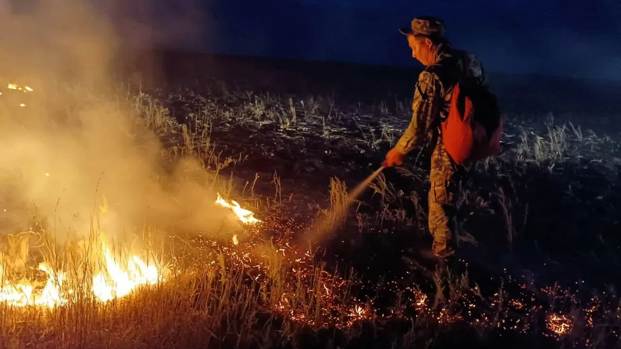 Каспий жағалауында қамыс өрті сөндірілді