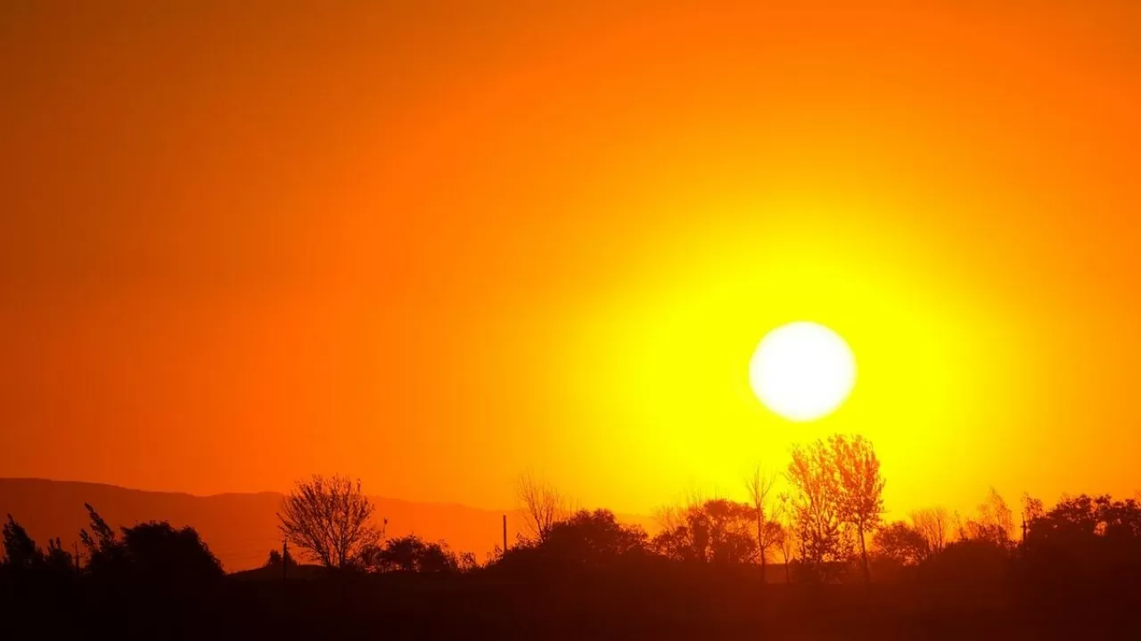 Парниковые газы привели к аномальной жаре в северном полушарии – исследование