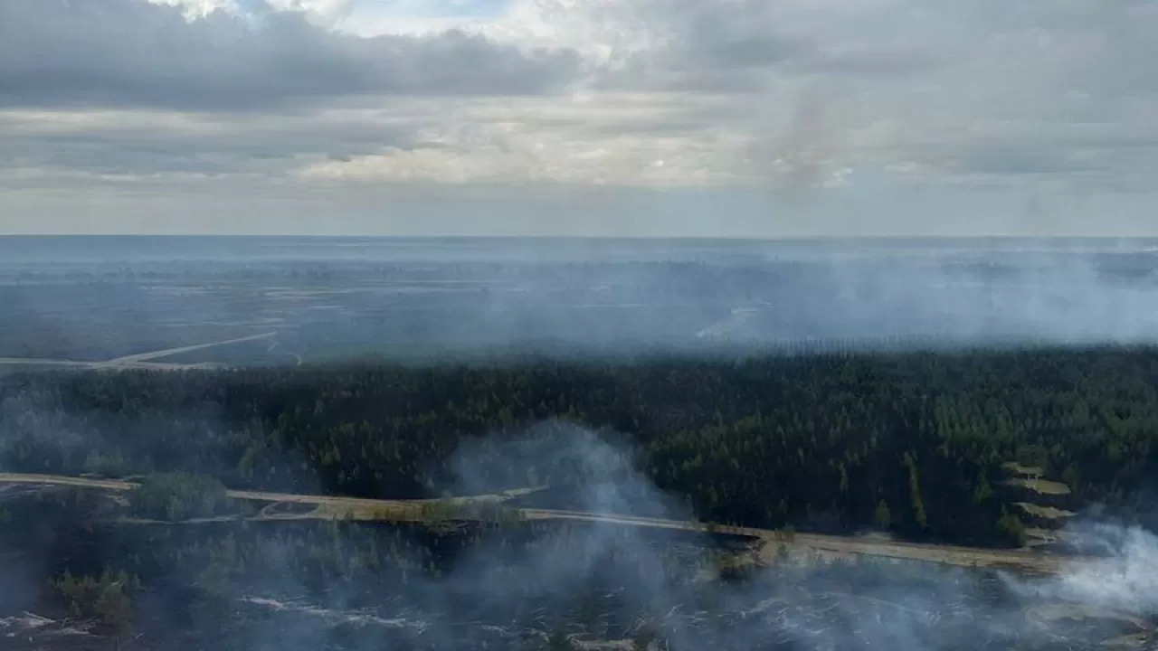 Пожар в природном резервате "Ертiс орманы" локализован