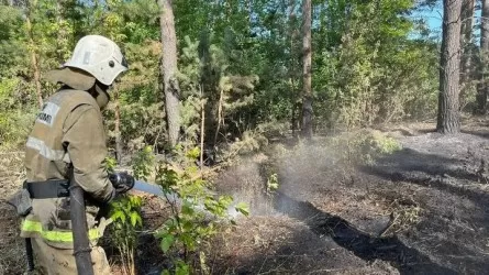 В Абайской области вновь вспыхнул крупный пожар