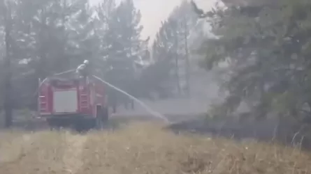 В Абайской области очередной пожар: горит лес