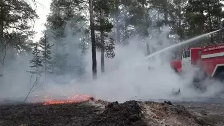 В Павлодарской области тушат три лесных пожара