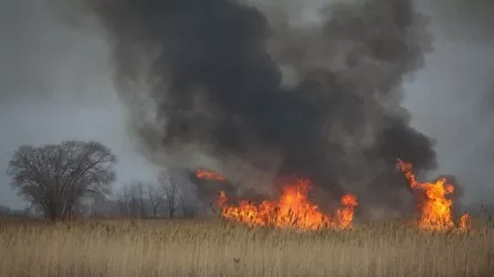 Қорғалжын ауданындағы қамыс өрті сөндірілді