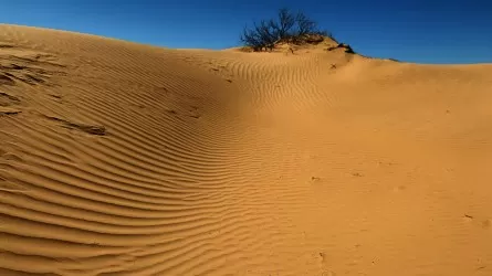 Село в Атырауской области может остаться под барханами 