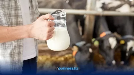 Казахстан ограничил ввоз молочки из России