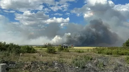 Павлодар облысындағы орман өрті оқшауланды 