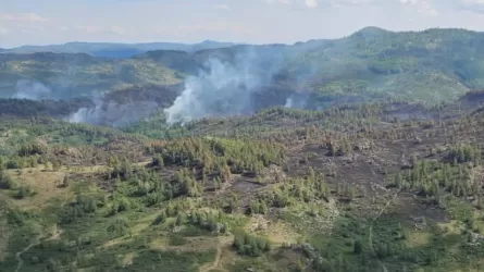 В ВКО ликвидирован пожар в горной местности