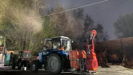 Алматыда жасыл желектерді өңдеудің үшінші кезеңі жүріп жатыр