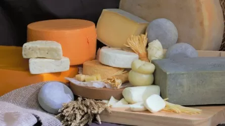 Kazakhstan to Participate in International Cheese Competition in France This September