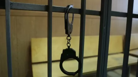Сына Даулета Турлыханова арестовали на 15 суток