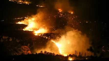 В Турции из-за страшной жары продолжают гореть леса