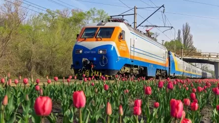 Грузовой поезд сошел с рельсов в Жамбылской области: движение восстановлено 
