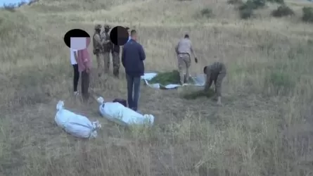 Около 280 кг наркотиков изъято в Жамбылской области у местного жителя 