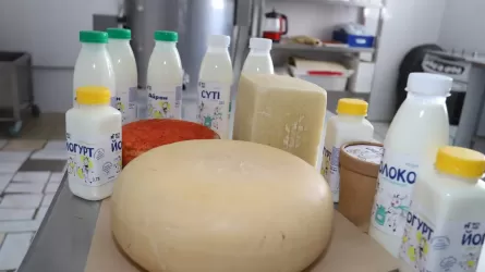 Предприниматели из Мангистау впервые примут участие в международном конкурсе сыров