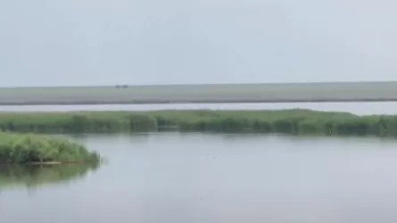 Экологическая угроза: расширение озера-накопителя "Карабидайык" вызывает тревогу 