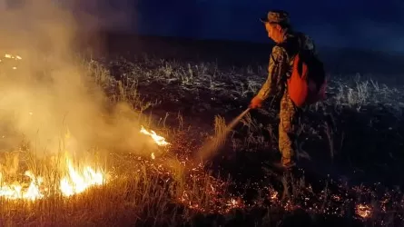 Каспий жағалауында қамыс өрті сөндірілді