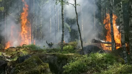 В Восточном Казахстане в высокогорье локализовали пожар