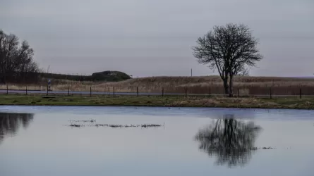 В ЗКО из лощины с водой извлекли тело ребенка