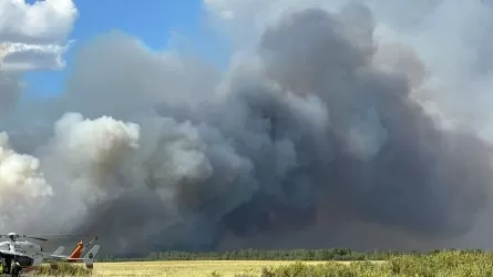 Павлодар облысындағы орман өрті шарпыған аумақ ұлғайып жатыр 