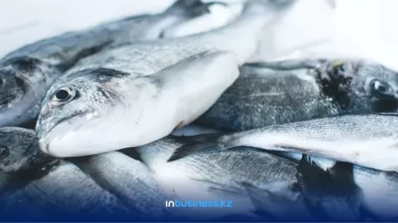 Как реализуется программа развития рыбного хозяйства в Казахстане?