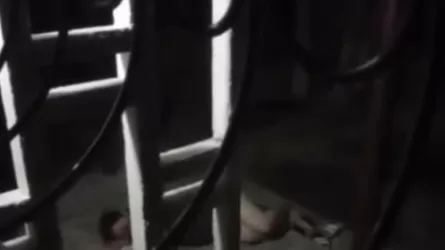 Ақтауда балалар мас анасымен көпқабатты үйдің кіреберісінде ұйықтап қалған