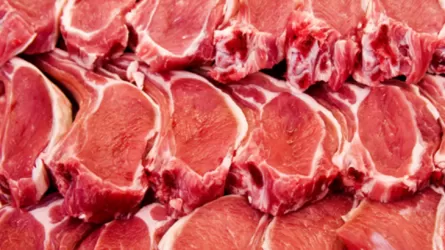 Meat processing factory set to be opened in Semey next year