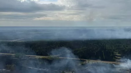 Пожар в природном резервате «Ертiс орманы» локализован