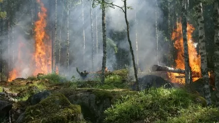 Пожар в труднодоступной горной местности тушат в ВКО