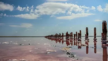 Погубит ли недостаток воды соленое озеро близ Павлодара?