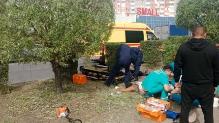 Сразу два человека оказались в реанимации при обрезке деревьев в Павлодаре     