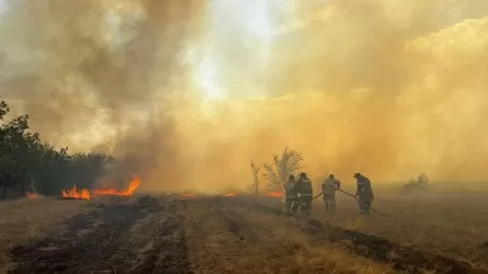 Лесные пожары тушат в ЗКО