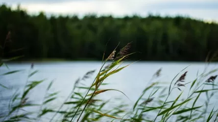 Қарағанды облысында балықшылардың өлімі жиілеп кетті