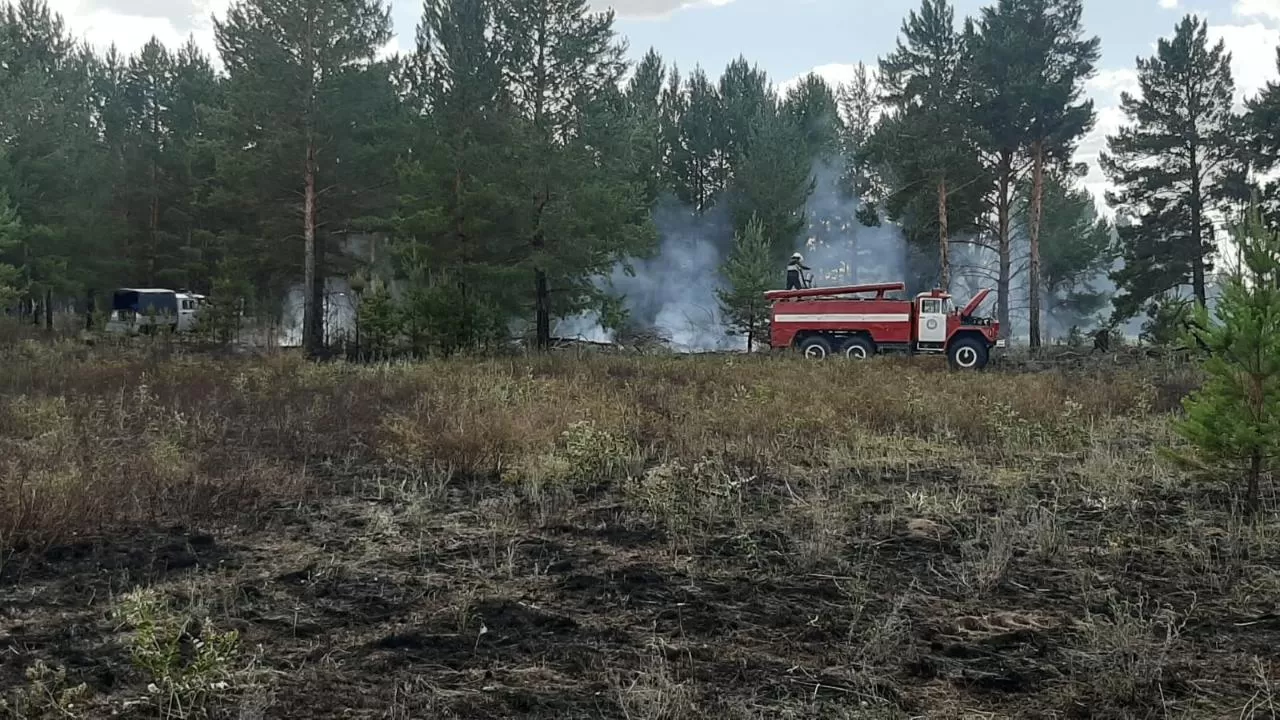 Очередной пожар произошел в "Семей орманы"