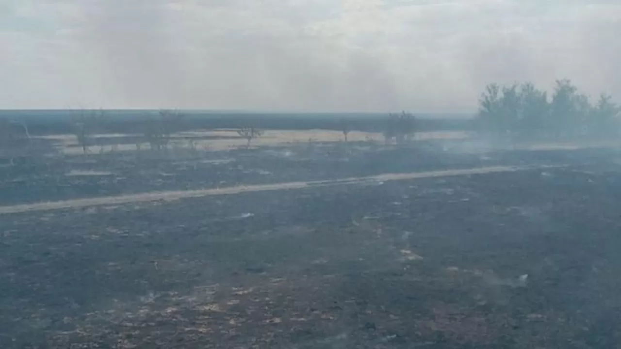 Батыс Қазақстан облысында дала өртеніп жатыр