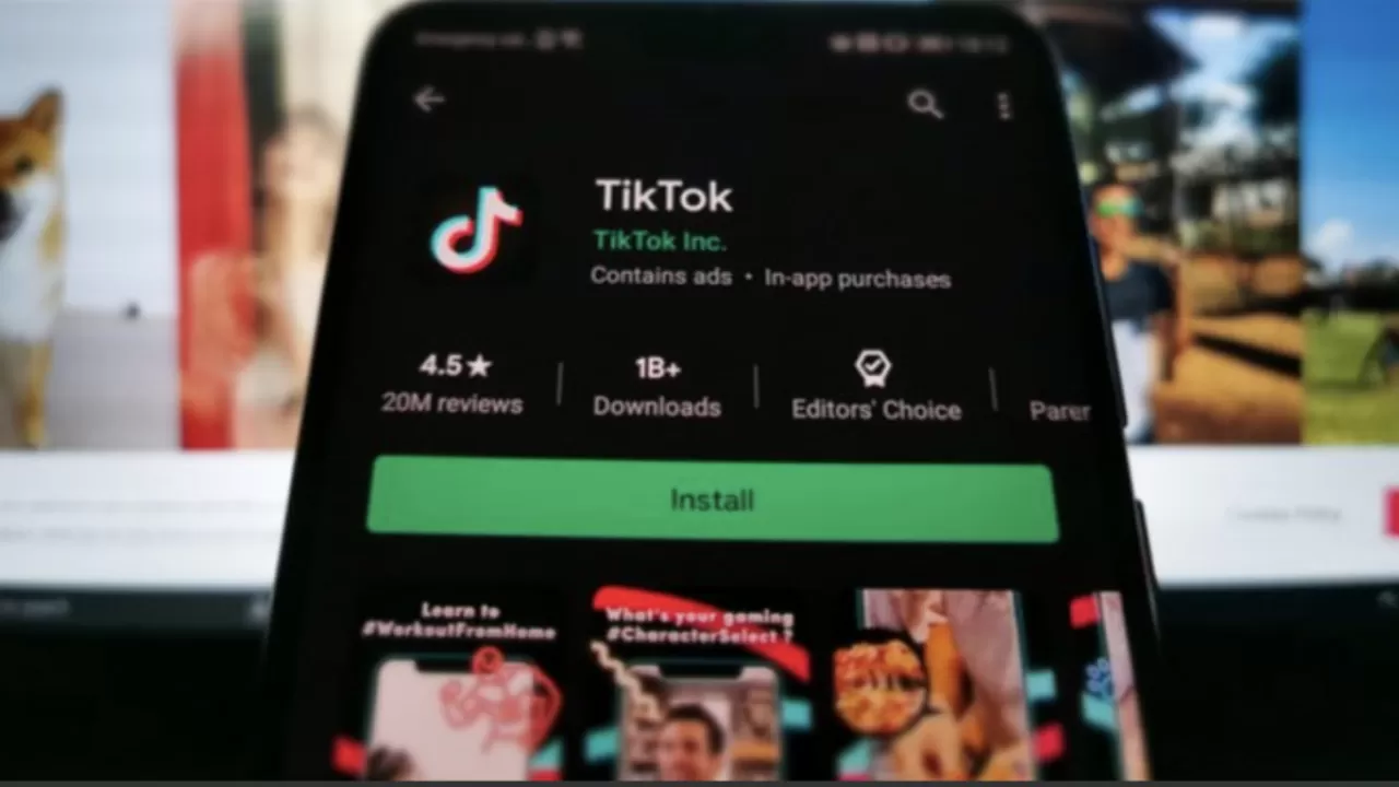 ҚМА: TikTok-та заңсыз құмар ойындар көбеюде