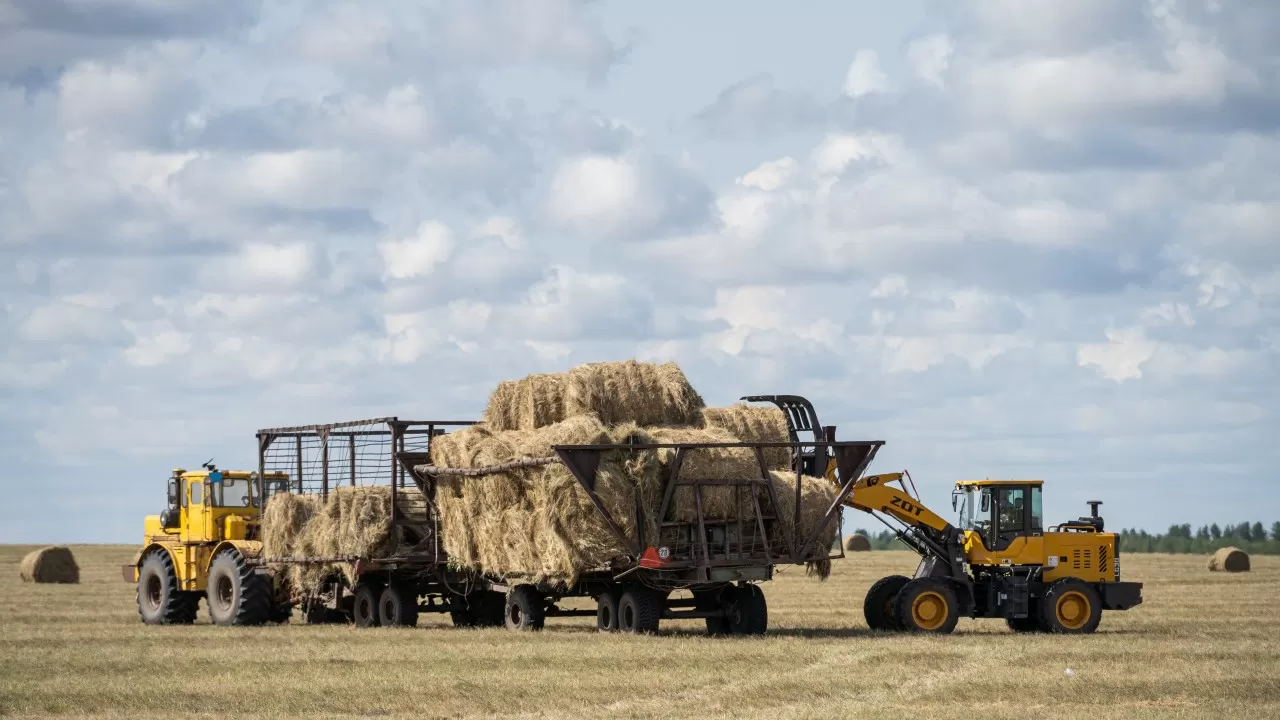 Шөптің бір тіркемесінің бағасы 90 мың теңгеге жетті