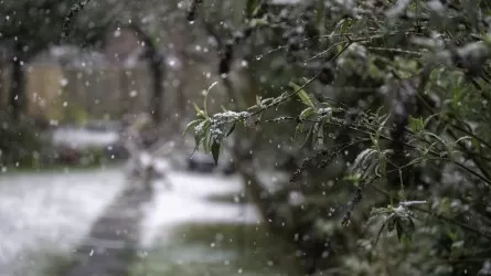 Проливные дожди и мокрый снег ожидаются в Казахстане