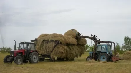 Қазақстандық фермерлерге 110 млрд теңге субсидия төленді