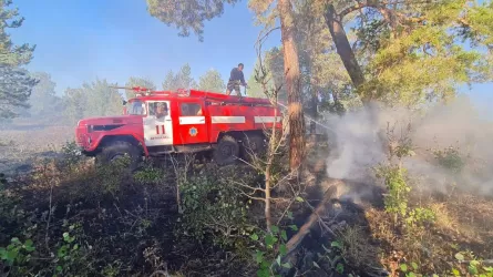 В Абайской области локализован природный пожар