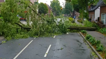 Новый тайфун "Ханун" унес жизни двух человек в Японии 