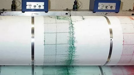 Очередное землетрясение произошло в 800 километрах от Алматы