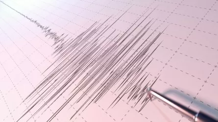 Землетрясение случилось в 595 км от Алматы