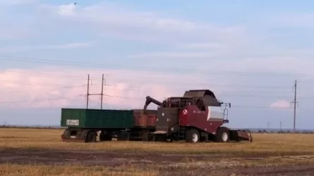 Аграриям Костанайской области, купившим ГСМ по июльской цене, не вернут разницу 