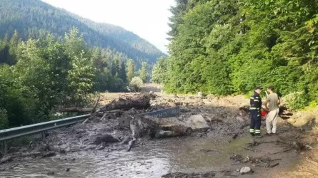 Число жертв схода оползня в Грузии возросло до 14 человек