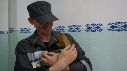 Павлодарскому осужденному разрешили встречу с собакой