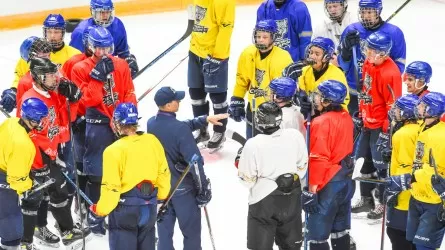 МХЛ: "Снежные Барсы" начнут регулярный сезон в Красноярске