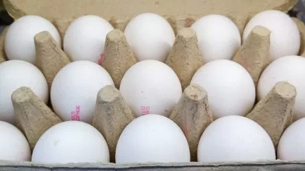 В России Генпрокуратура установила контроль над производителями яиц